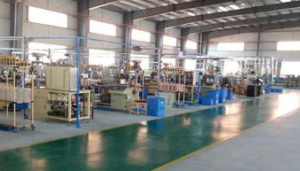 陸川縣華鑫電子廠電子終端產品項目入園投產，助力計算機技術開發產業新突破